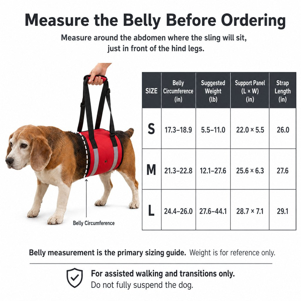 Wide EVA-Cushioned Belly Support Dog Lift Sling (Adjustable Straps) – view 12