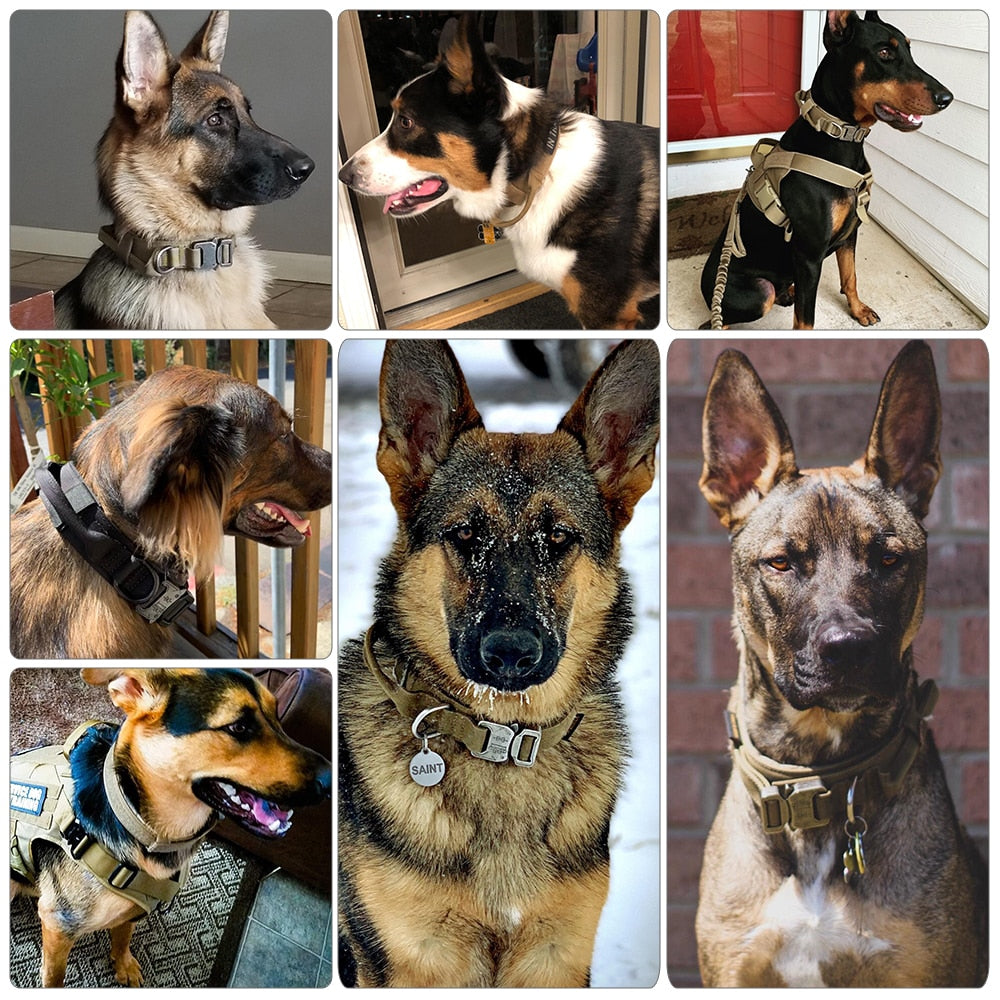 Dog Training Collar Adjustable Tactical Dog Collar And Leash Set – view 14