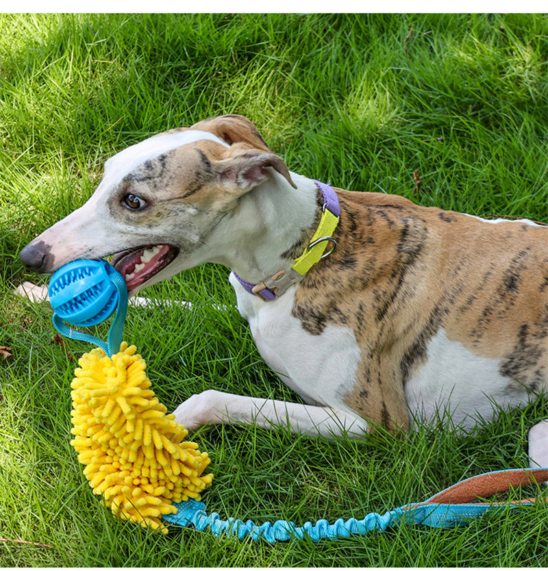 Dog Chew Rope Colorful Dog Tug Toy Elastic Drawstring Pet Chew Toy – view 7