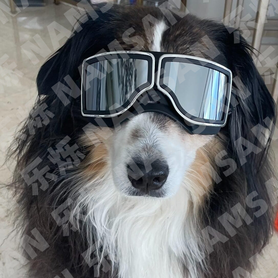 1Set Dog Goggles Medium-Large Dog Sunglasses Anti-dust Windproof Dog Goggles – view 7