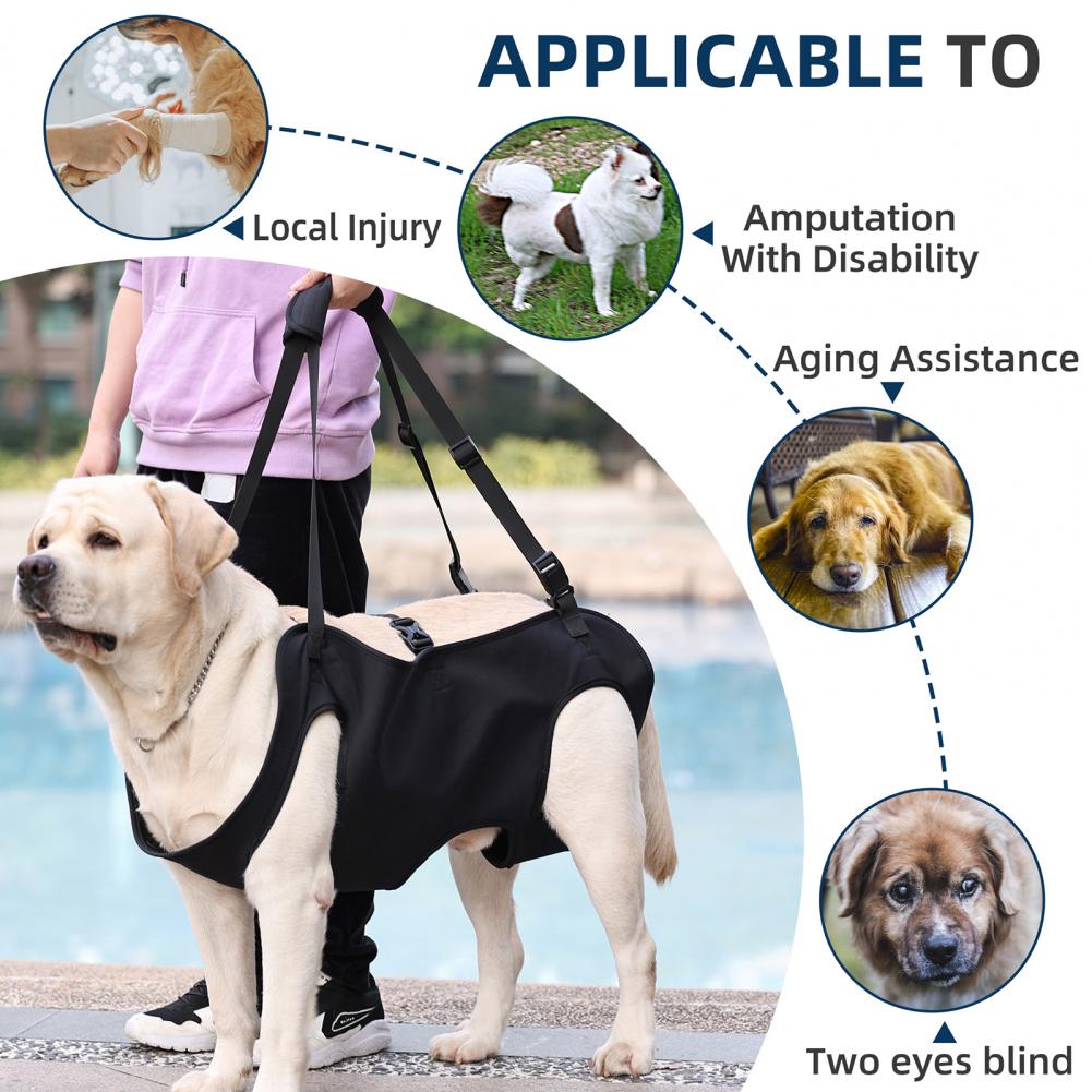 Dog Lift Harness For Large Dogs Sling Dog Walking Assistance Adjustable Pet Support Harness – view 11