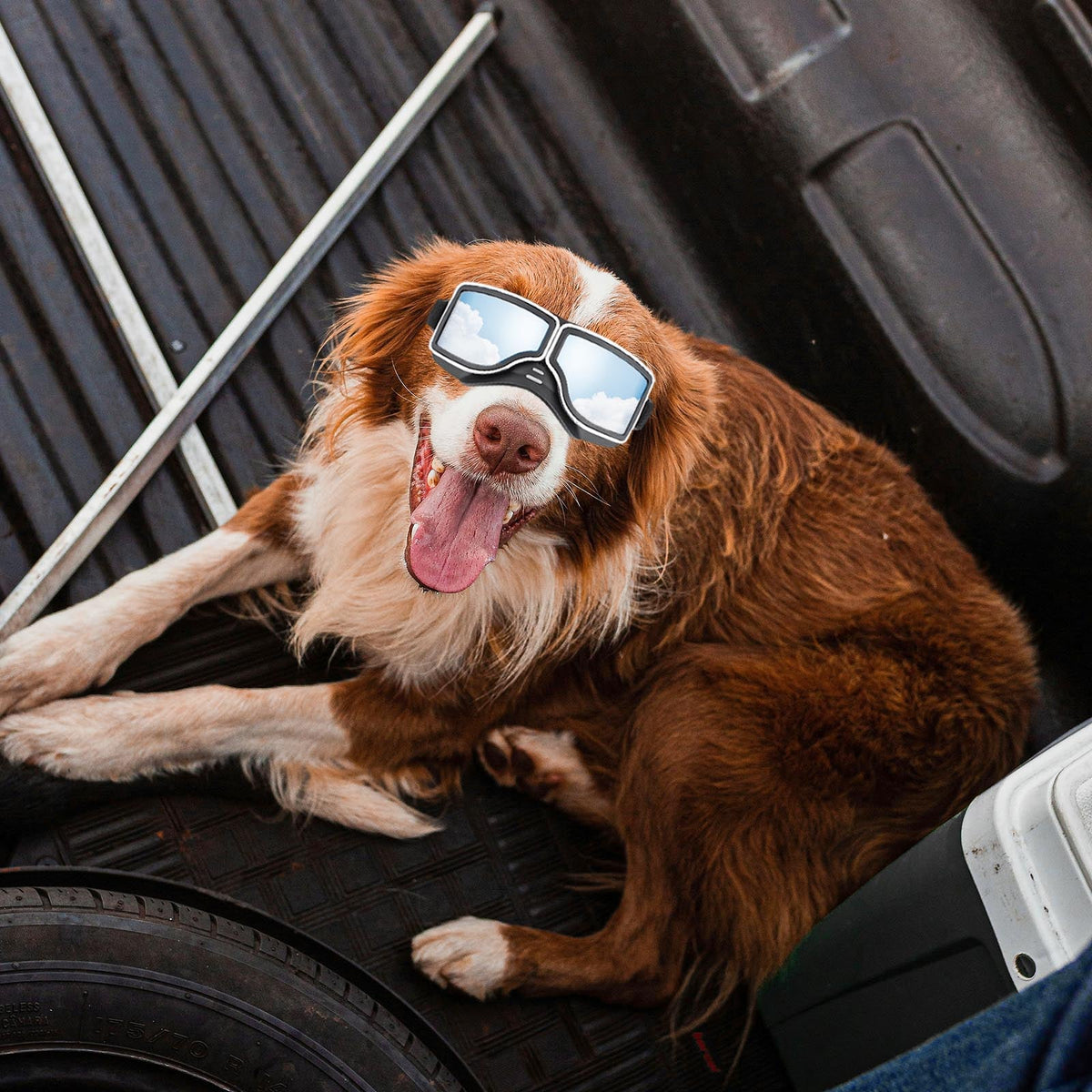 1Set Dog Goggles Medium-Large Dog Sunglasses Anti-dust Windproof Dog Goggles – view 9