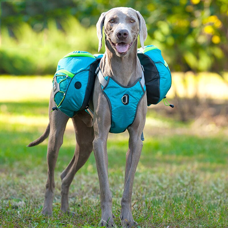 Nylon Large Dog Animal Backpack Harness Vest – view 9