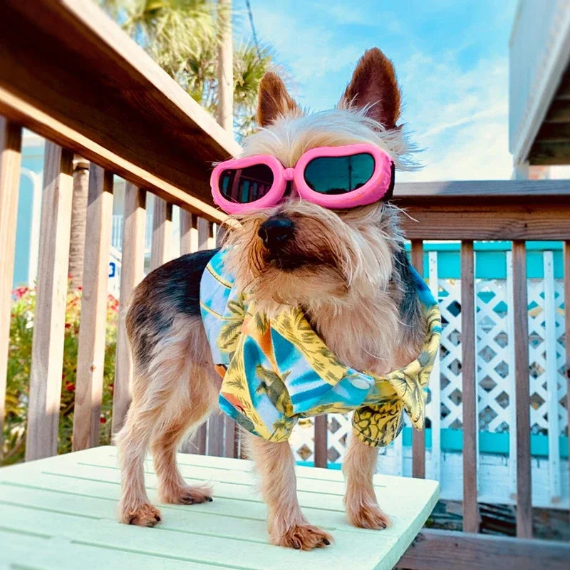 Fashion Small Dog Sunglasses UV Protection Goggles Adjustable Waterproof Glasses – view 10