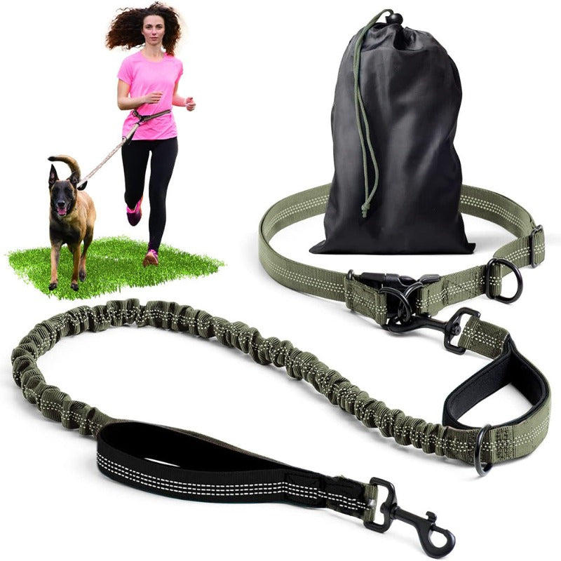 Hands Free Dog Leash Professional Harness with Reflective Stitches – view 7