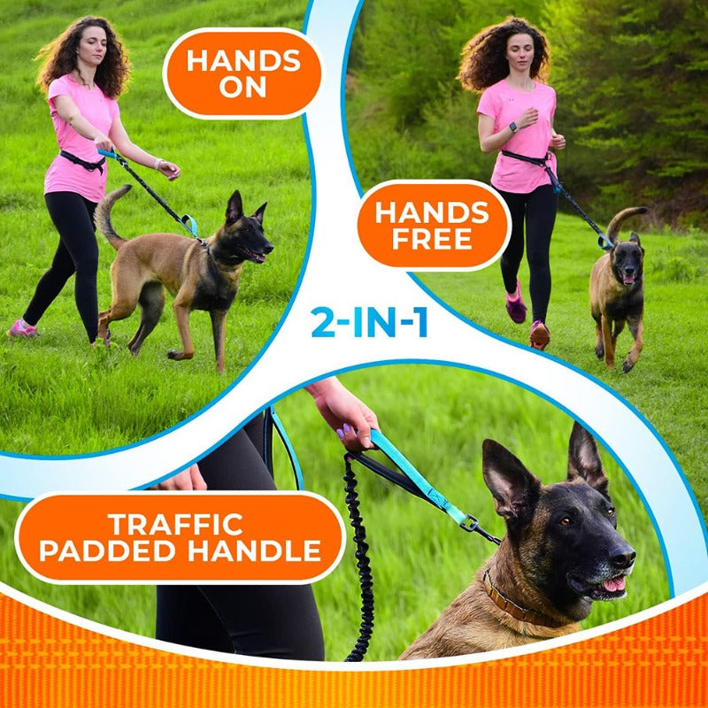 Hands Free Dog Leash Professional Harness with Reflective Stitches – view 9