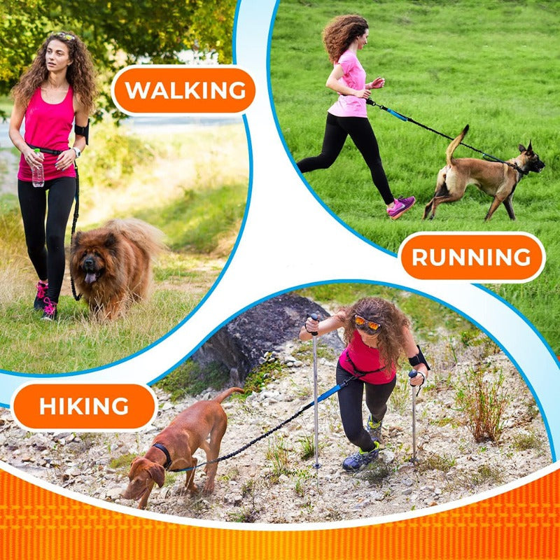 Hands Free Dog Leash Professional Harness with Reflective Stitches – view 11