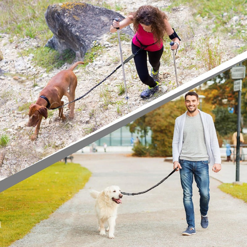Hands Free Dog Leash Professional Harness with Reflective Stitches – view 13