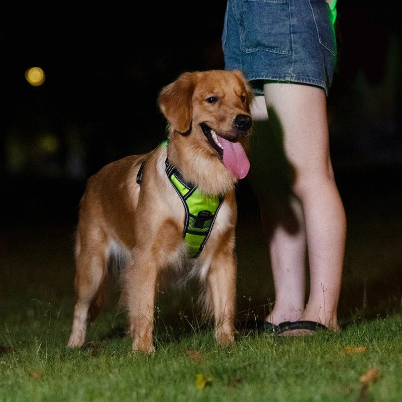 LED Dog Harness Reflective Adjustable Durable Light Up Dog Harness – view 7
