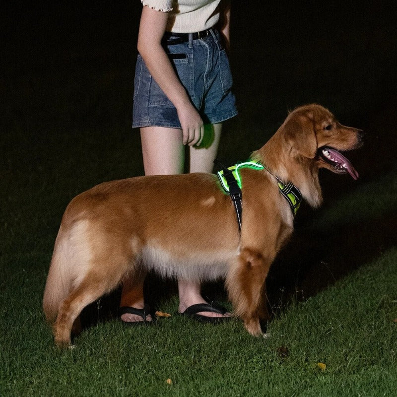 LED Dog Harness Reflective Adjustable Durable Light Up Dog Harness – view 8