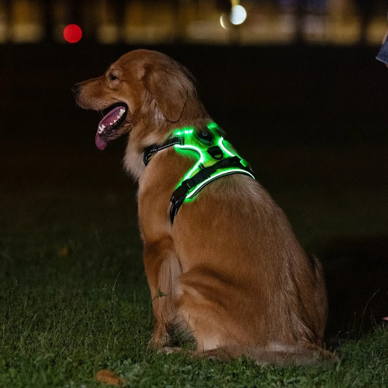LED Dog Harness Reflective Adjustable Durable Light Up Dog Harness – view 9
