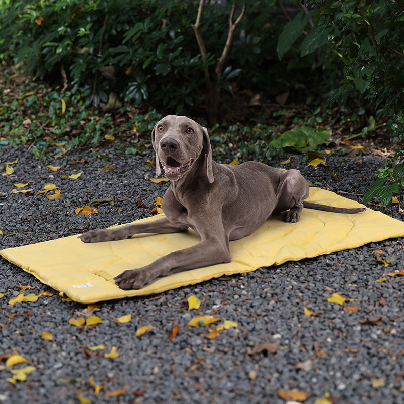 Outdoor Dog Bed Blanket Water Resistant Camping Travel Pet Mat – view 8