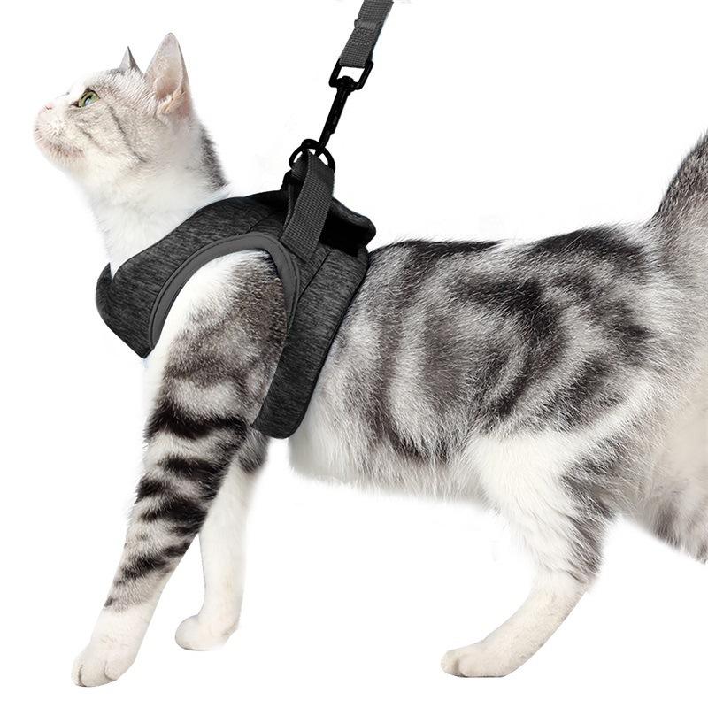 Pet Breathable Chest Strap Reflective Anti-Breakaway Adjustable Pet Cat Harness – view 10
