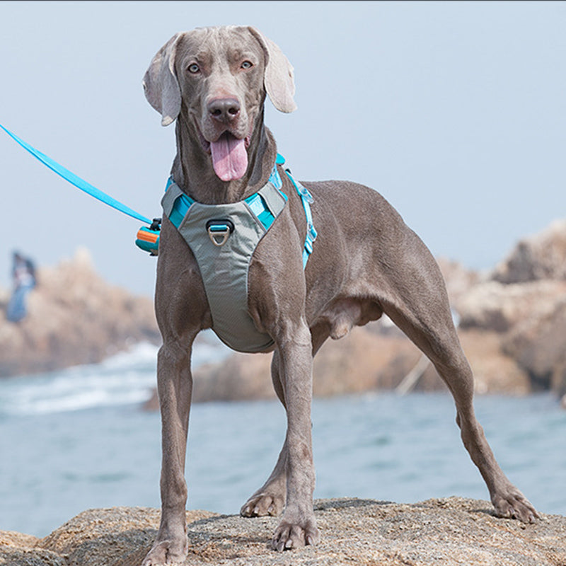 Portable Pet Vest Harness For Medium Dogs – view 10