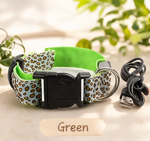 Safety LED light up Collars – Green / S