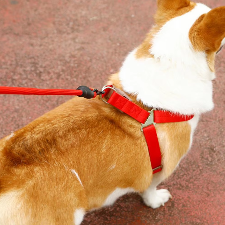 Adjustable Dog Harness with Leash in 5 Colours – view 7