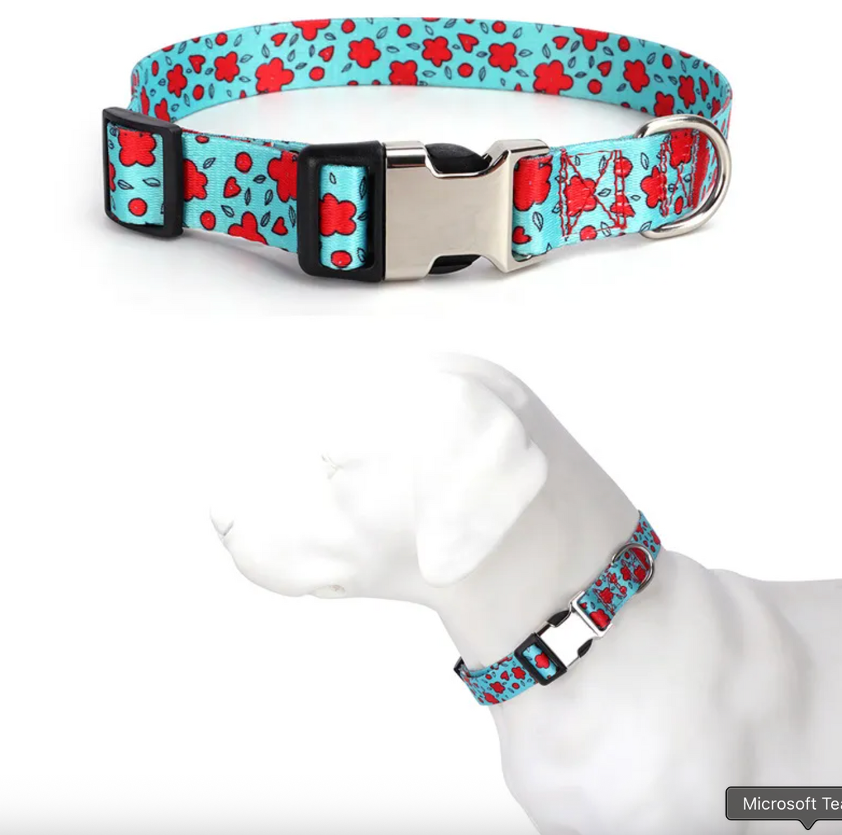 Custom Engraved Dog Collar with Metal Buckle – view 10