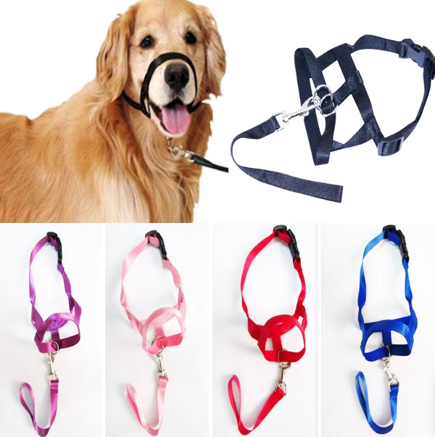 Adjustable Harness with Leash for Small and Medium-Sized Dogs – view 9