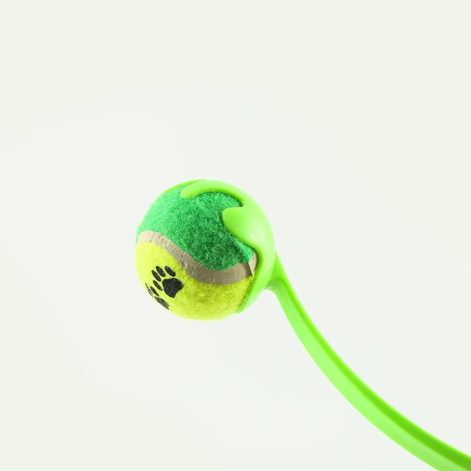 Toys with Ball and String – Interactive Throwing Kit for Children – view 8