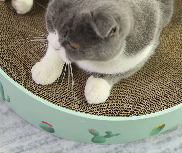Cardboard Loop for Cats with Cactus Design - Modern Style Scratcher – view 8