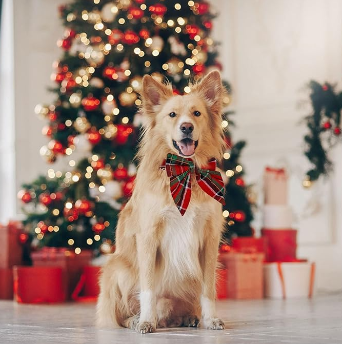 Dog Collar with Checkered Pattern and Bow for Christmas and Festive Occasions – view 7