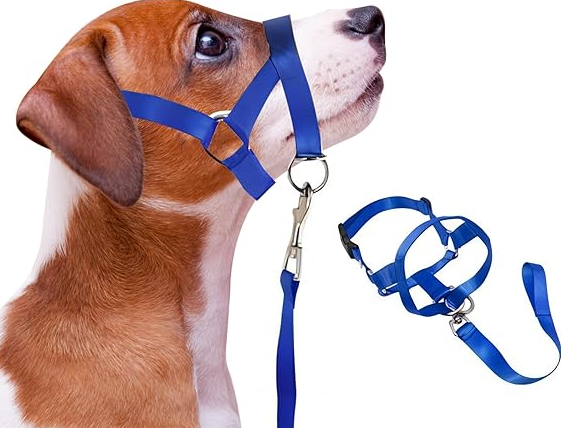 Adjustable Harness with Leash for Small and Medium-Sized Dogs – view 7