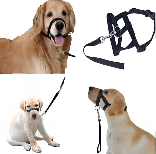 Adjustable Harness with Leash for Small and Medium-Sized Dogs – view 8