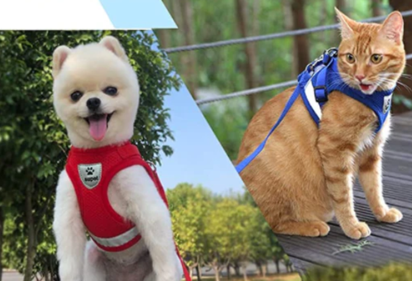Harness For Cats With Leash – view 8