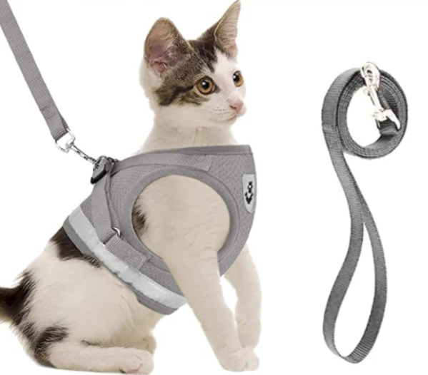 Harness For Cats With Leash – view 7