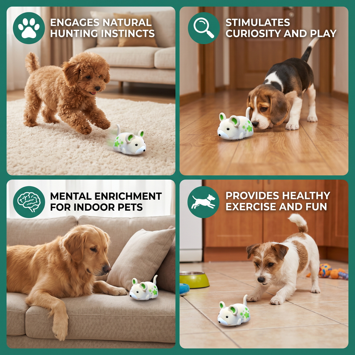 Active Hamster Indoor Dog Toy – view 8