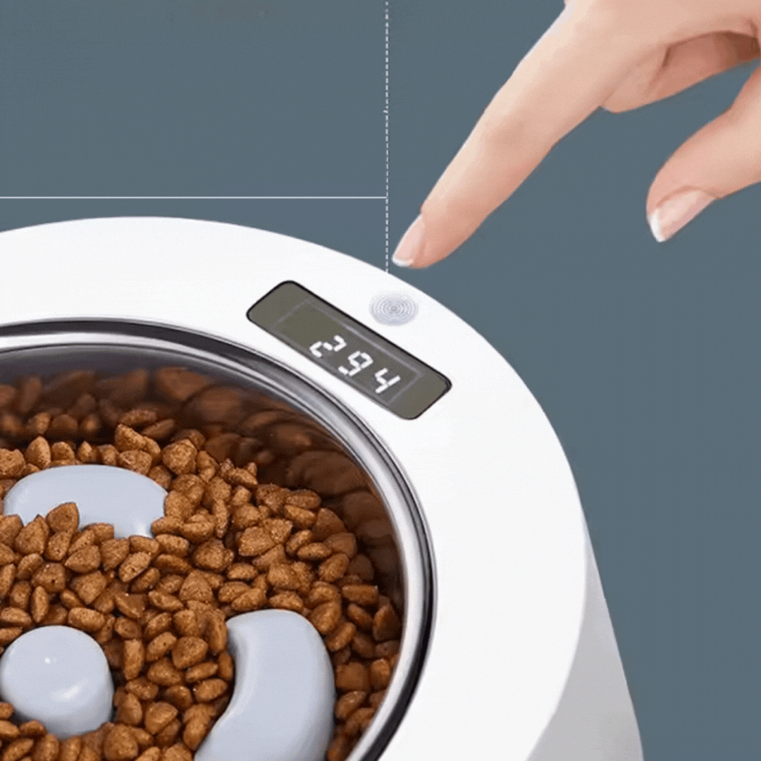 Automatic Food Dispenser for Dogs and Cats – Interactive Feeder with Digital Display – view 7