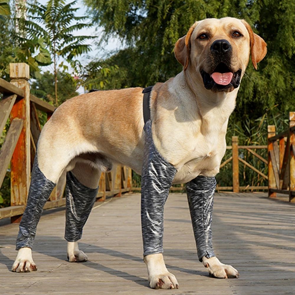 Waterproof Dog Recovery Sleeves for Front and Back Legs – view 10