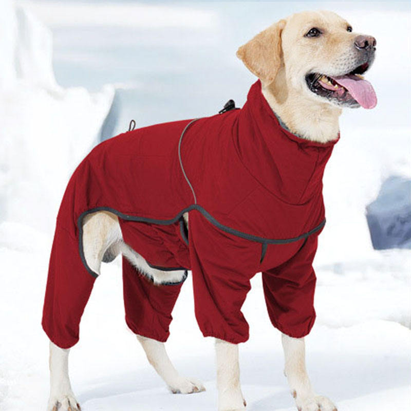 Waterproof Winter Dog Coat – Warm Cotton Dog Jacket – view 7