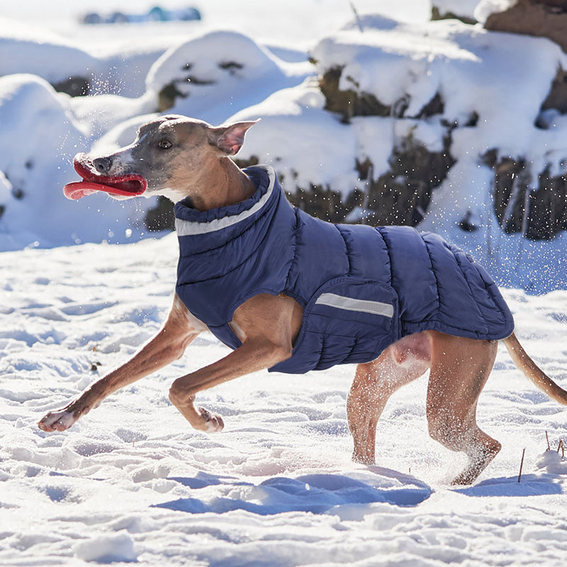 Winter Dog Jacket With Fleece Water-resistant Dog Coat – view 7