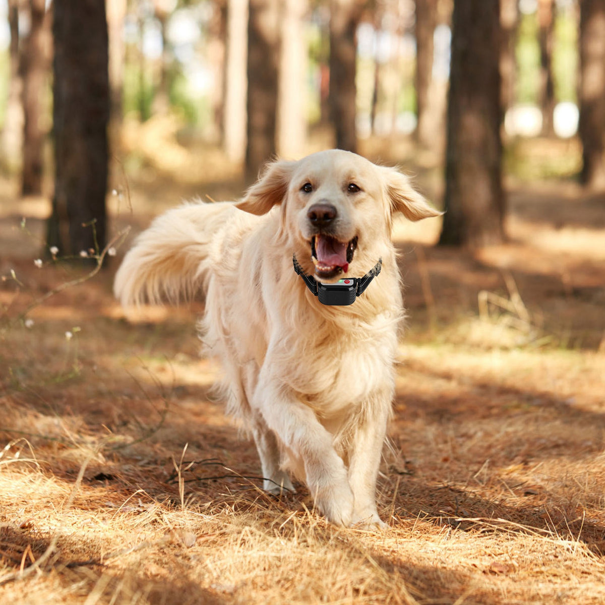 Wireless Dog Training Collar with Remote Fence System – view 7