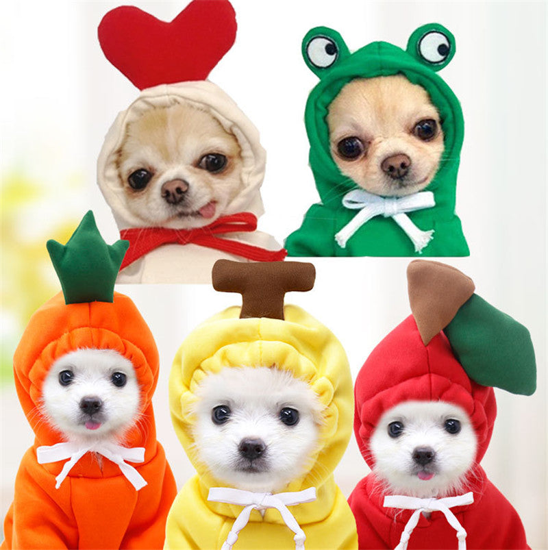 Cute Fruit Dog Clothes for Small Dogs Hoodies for Winter Warmth – view 11