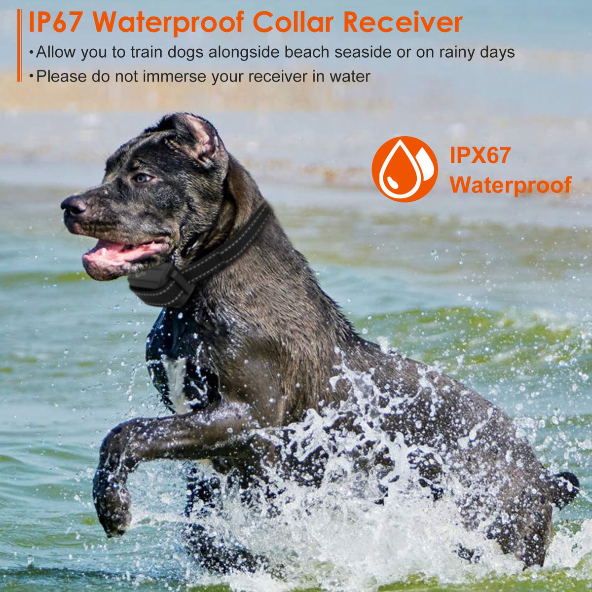 Dog Training Collar with Beep, Vibration, and Shock Modes – view 8