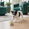 Active Hamster Indoor Dog Toy – Khaki