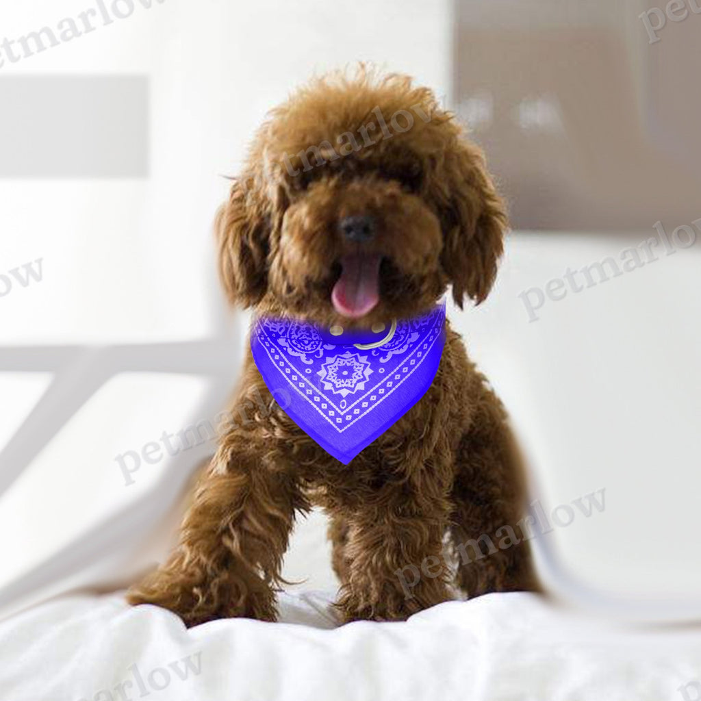Adjustable Bandana Leather Pet Collar for Dogs and Cats – view 6