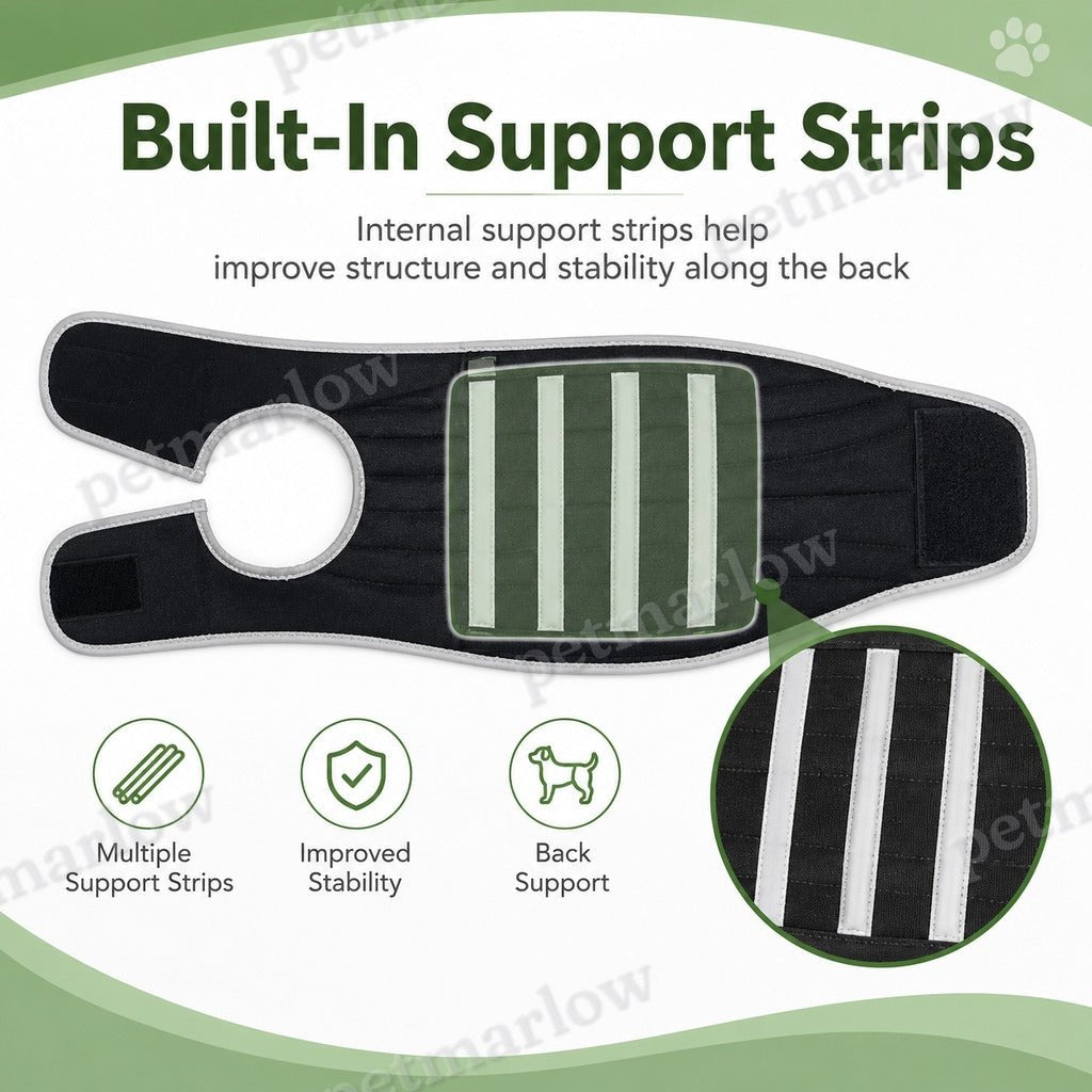 Adjustable Breathable Back Support Vest (Long-Backed Breeds) – view 6