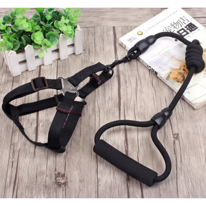 Adjustable Dog Harness with Leash in 5 Colours – Black / XS