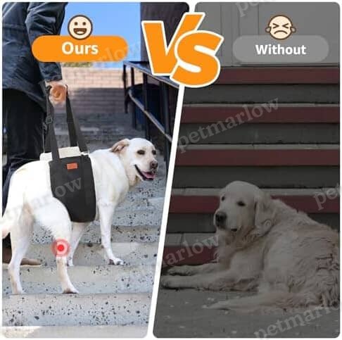 Adjustable Dog Lift Harness Dog Sling for Large Dogs – view 4