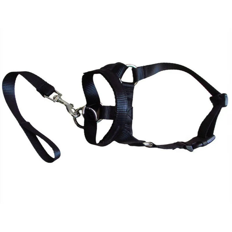 Adjustable Harness with Leash for Small and Medium-Sized Dogs – Black / S