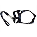 Adjustable Harness with Leash for Small and Medium-Sized Dogs – Black / S