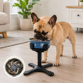 Adjustable Height & Tilt Elevated Dog Bowl (Slow-Feed Insert) – Blue Stainless Steel Bowl Set
