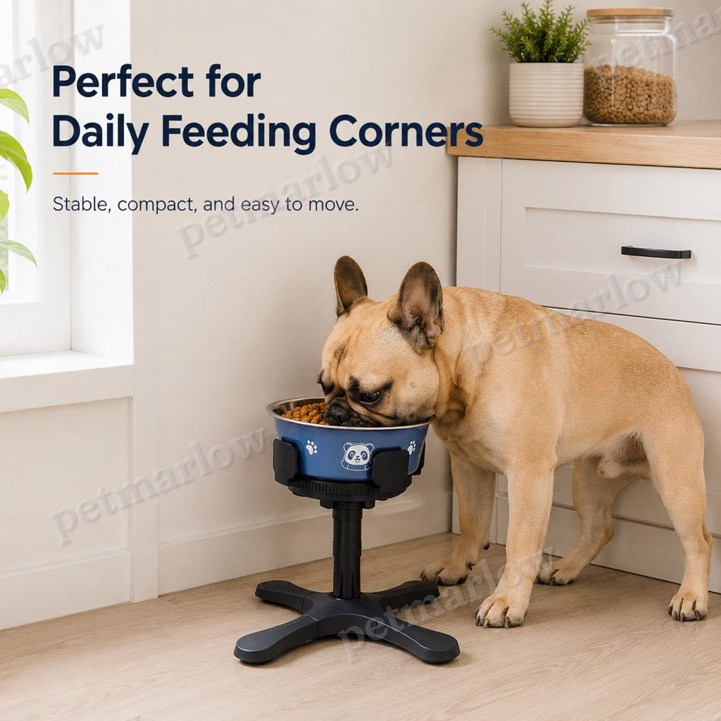 Adjustable Height & Tilt Elevated Dog Bowl (Slow-Feed Insert) – view 5