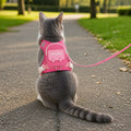 Adjustable Pet Harness with Storage Backpack for Small Dogs and Cats – Rose Red / S (6-10 lbs)