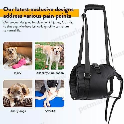 Adjustable Sling Support for Large Dogs Hind Legs, Mobility Aid for Elderly Dogs – view 2