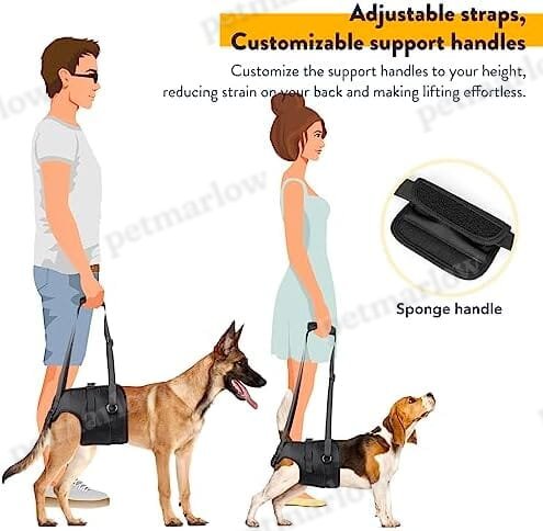 Adjustable Sling Support for Large Dogs Hind Legs, Mobility Aid for Elderly Dogs – view 3