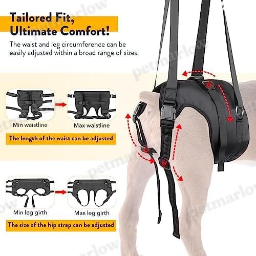 Adjustable Sling Support for Large Dogs Hind Legs, Mobility Aid for Elderly Dogs – view 6
